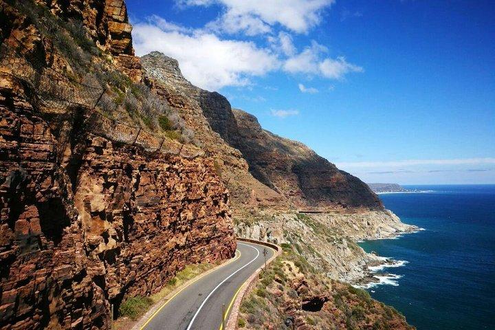 Journée complète Visite du Cap, de la péninsule, de Cape Point et de Stellenbosch