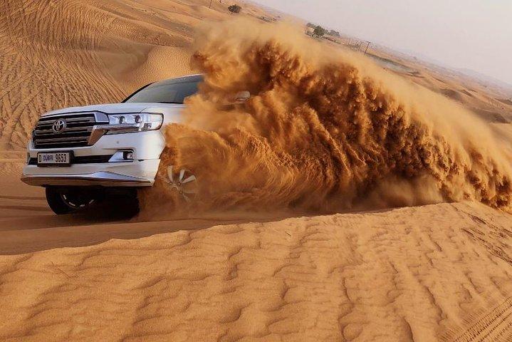 4 heures Dubai Desert Experience : Camel + Sandboard + Falcon Photo