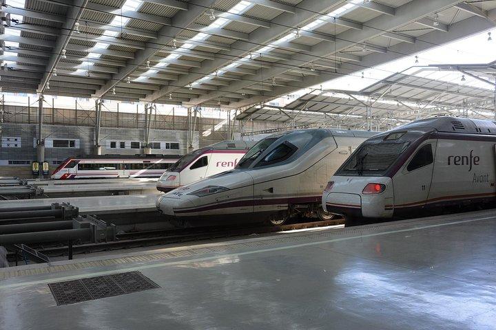 3 - Visita guiada de un día a Sevilla desde Madrid
