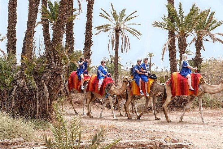 Half Day Marrakech Camel Safari