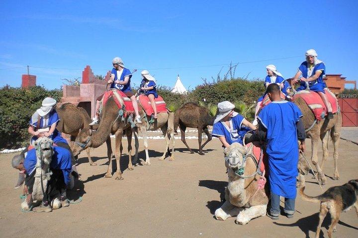 Half Day Marrakech Camel Safari