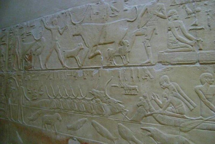 Privat heldagstur till Memphis, Saqqara, Giza Pyramids & Sphinx