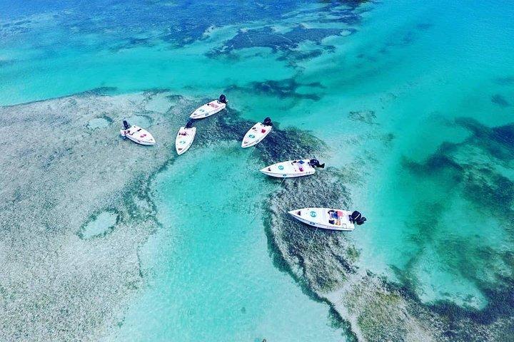 Key West Safari Eco Sandbar Tour Aventure avec plongée en apnée