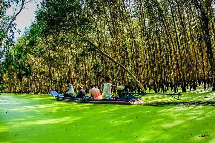 Excursão privada ao Delta do Mekong 1 dia