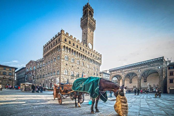 Magnificent Florence - Private Walking Tour