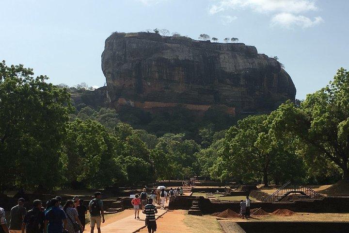 Bil og chauffør i Sri Lanka 8 dages tur med overnatning