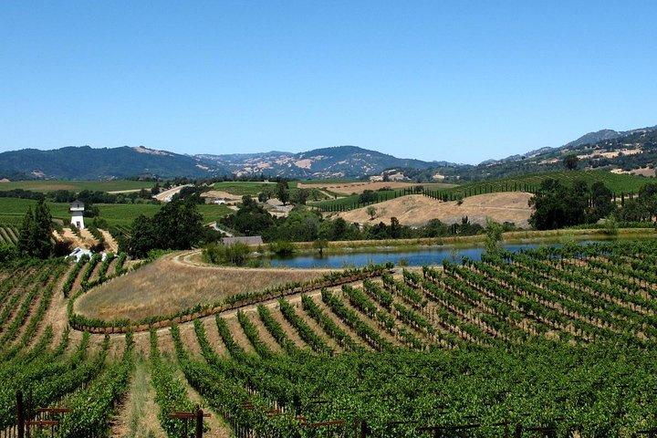 Muir Woods & Napa / Sonoma - 6 - 8hr-Privat Scenic Wine Tour från SF