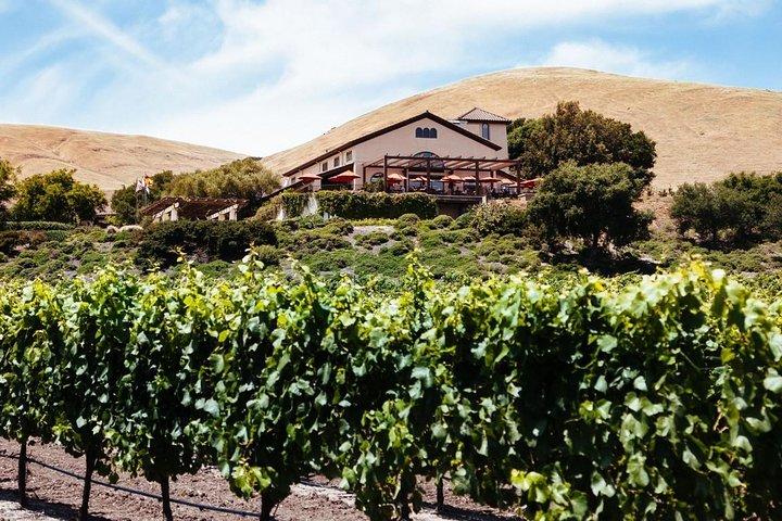 Fra SF: Sonoma & Napa - 8 timers privat vin tur med Concierge.XLSUV