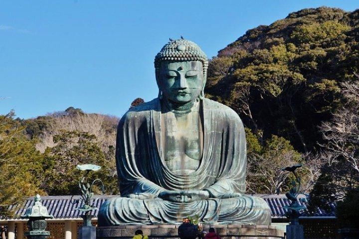 Kamakura Bamboo Forest und Great Buddha Private Tour