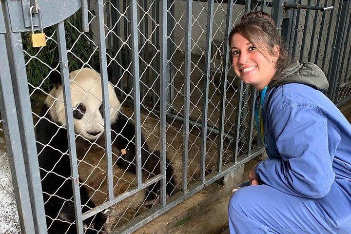 Esperienza di volontariato al Dujiangyan Center con pranzo