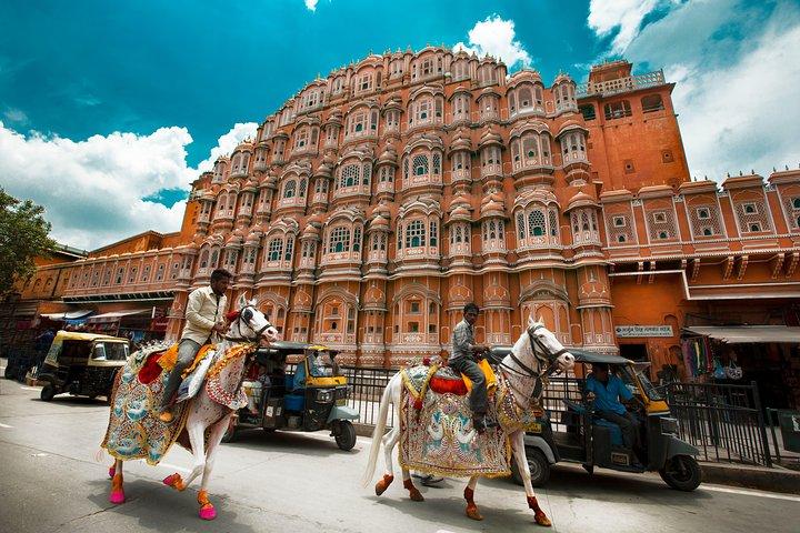 Private Tour: Jaipur Sightseeing mit Denkmal Eintrittsgeldern