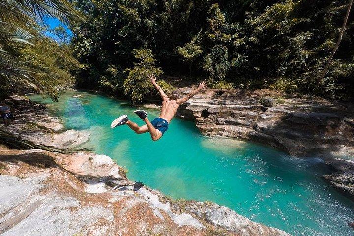 Whale Shark Watching e Tumalog Falls e Kawasan Falls