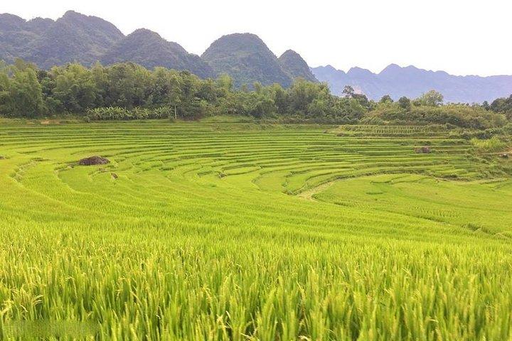 3tägige private Tour Mai Chau Puluong Terrassenreisfelder, Trekking