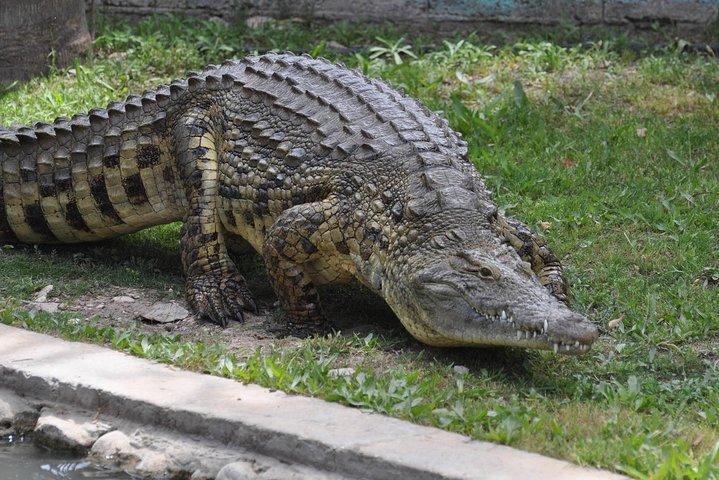 クアラルンプール発マラッカ庭園、博物館、動物園ツアー (昼食付き)