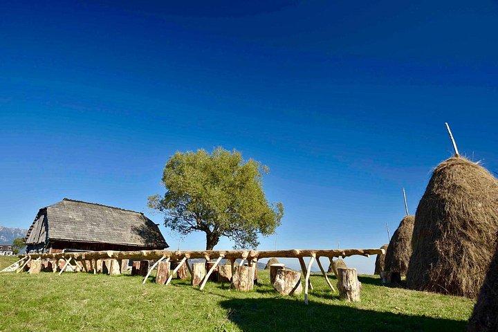 カルパティア山脈とLibeartyヒグマ保護区の古い村