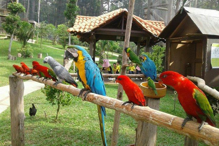 クアラルンプール発マラッカ庭園、博物館、動物園ツアー (昼食付き)