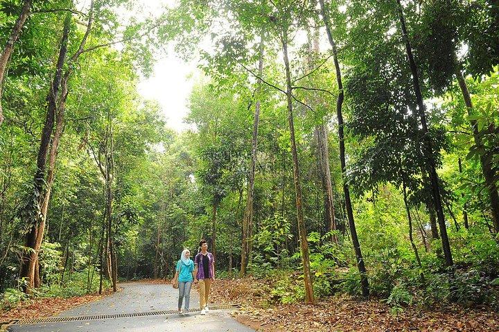 クアラルンプール発マラッカ庭園、博物館、動物園ツアー (昼食付き)