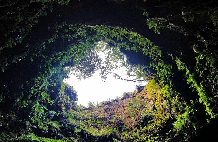 Excursão de Dia Inteiro: O melhor da Terceira