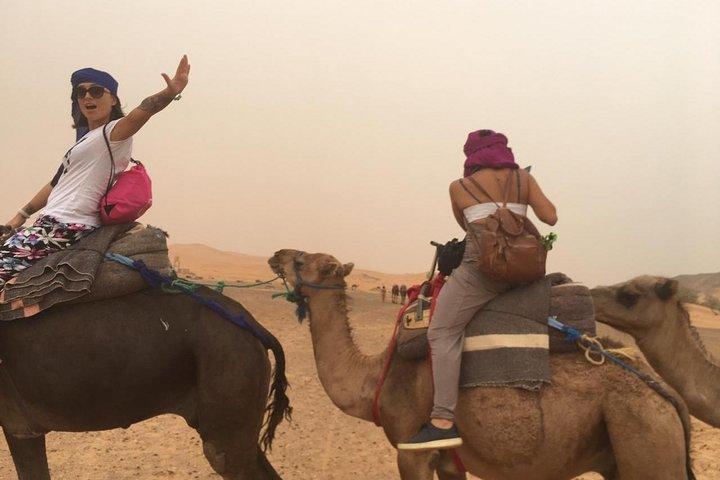 Private Tour To Zagora & Daraa Valley 2 Days 1 Night in The Tent