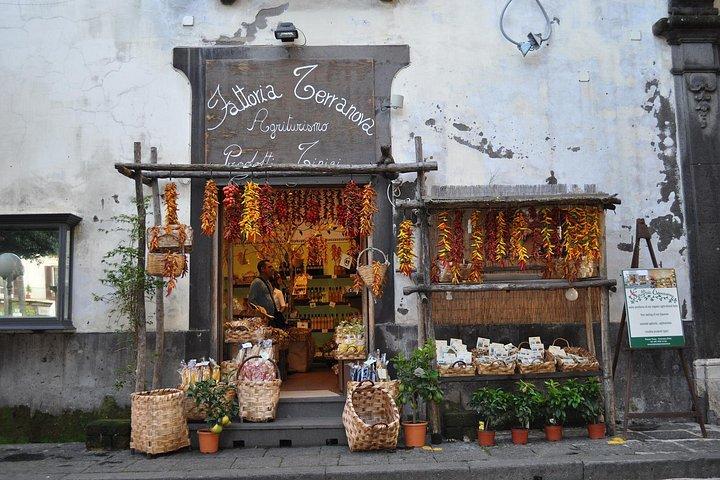 ローマからのプライベートポンペイとソレント