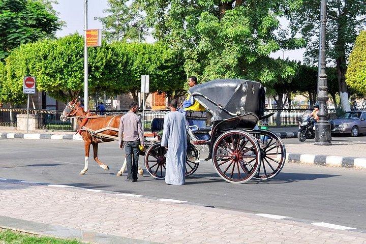 馬車によるアスワンシティプライベートツアー