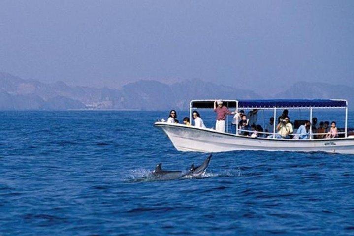 Observação de golfinhos, Muscat