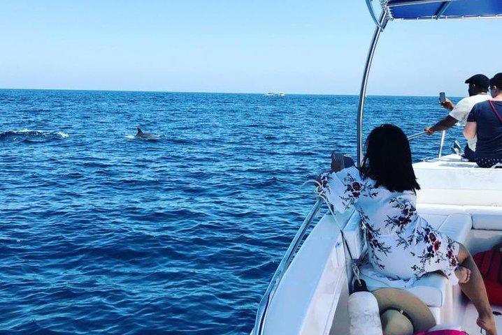 Observação de golfinhos, Muscat