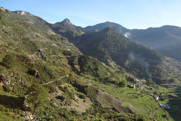 Upptäck Rif-bergen i Chefchaouen på 6 dagars vandring