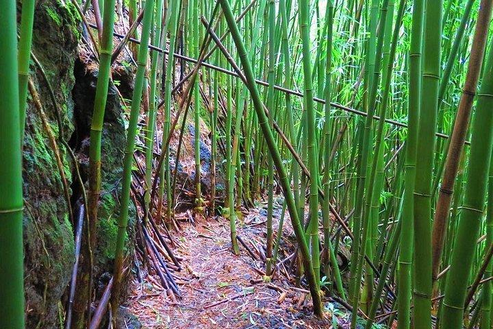 Hawaiian Waterfall Hike