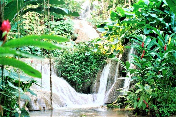 Dunn's River Falls og Ocho Rios Shopping Tour fra Montego Bay Hotels