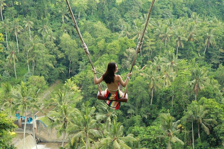 Tours privados en Ubud con experiencia Jungle Swing - todo incluido