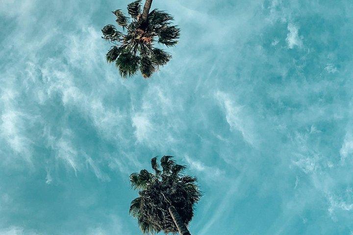 Visite privée des meilleurs spots Instagram à Los Angeles