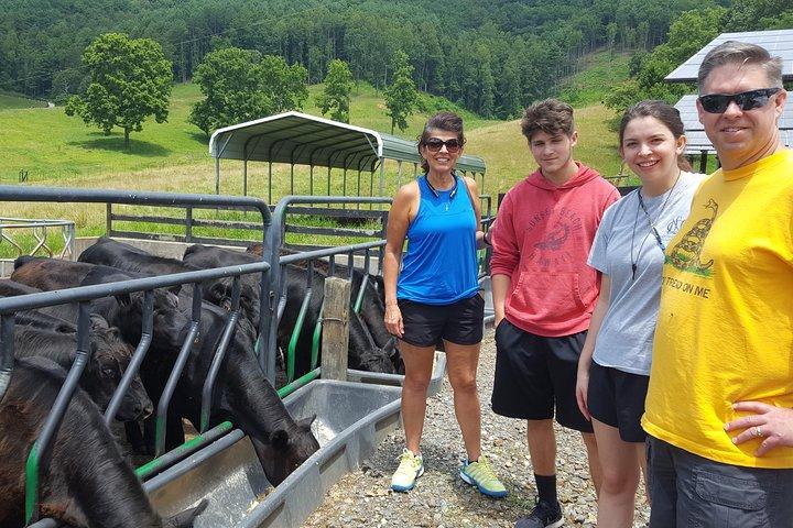 Private Walking Tour of a Real Working Cattle Ranch