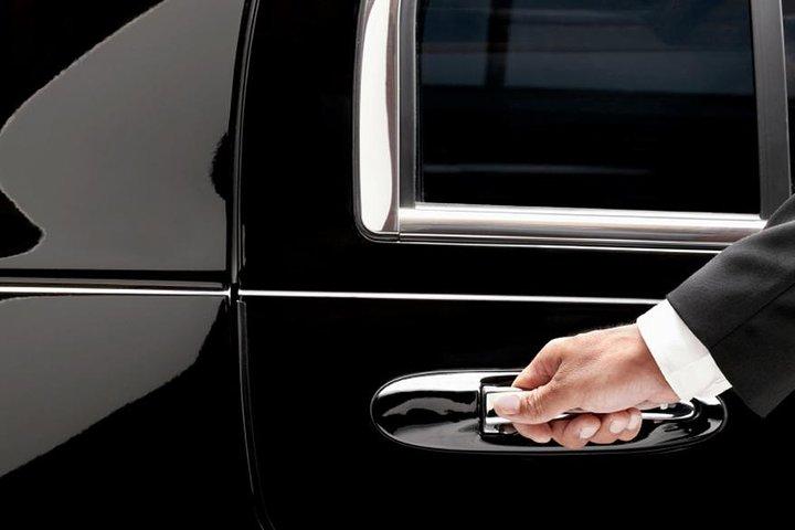 Trasferimento privato all'arrivo: dall'aeroporto di Nizza all'hotel