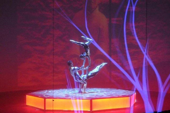 Trasferimento privato alla mostra ERA Acrobats allo Shanghai Circus World