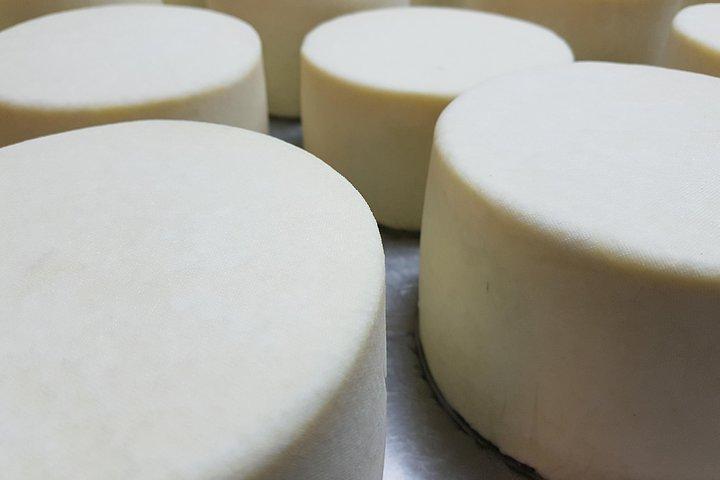 サンセバスチャン発のイディアザバルチーズファームとバスクサイダーハウスランチ