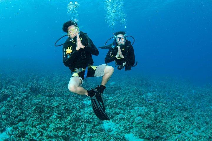 Descubra o mergulho autônomo, tente mergulhar para iniciantes (começa em Koh Chang)