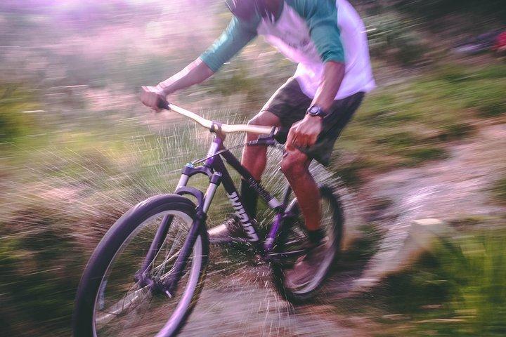 Full Day Private Ciclismo Cabo da Boa Esperança