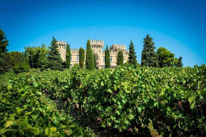 Tour del vino di Chateauneuf du Pape