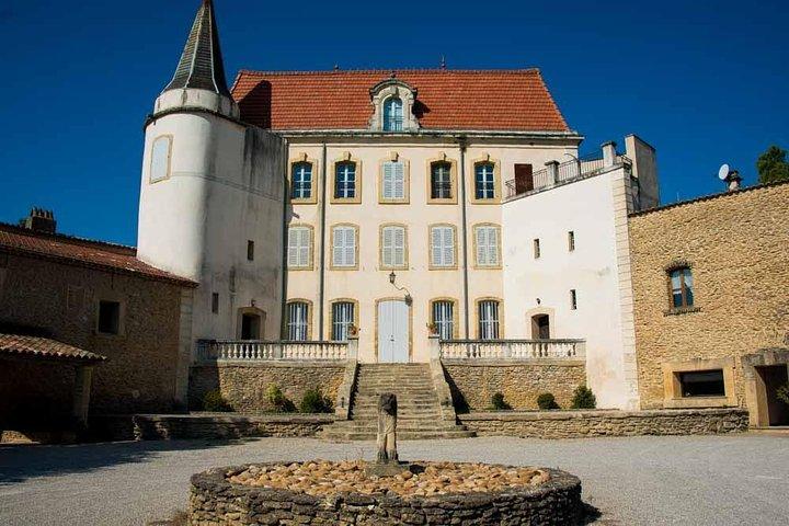 Tour del vino di Chateauneuf du Pape