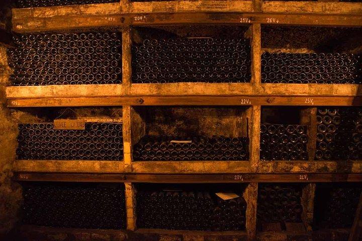 Tour del vino di Chateauneuf du Pape