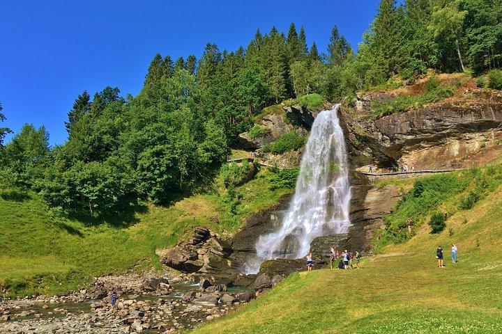 Private geführte Tour: Königin der Fjorde - Tour von Bergen aus, 6 Stunden