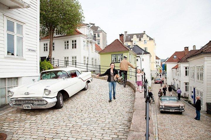 PRIVATE TOUR: Bergen city sightseeing, 4 hours