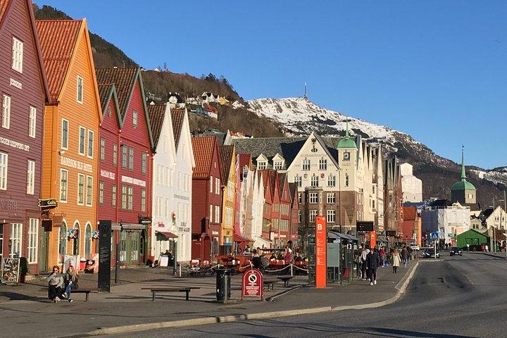 PRIVATE TOUR: Bergen city sightseeing, 4 hours