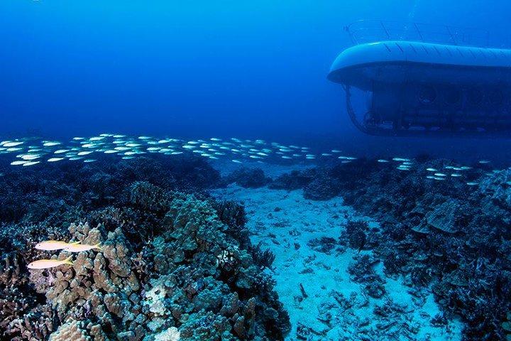 Big Island : sottomarino Atlantis da Kona Beach