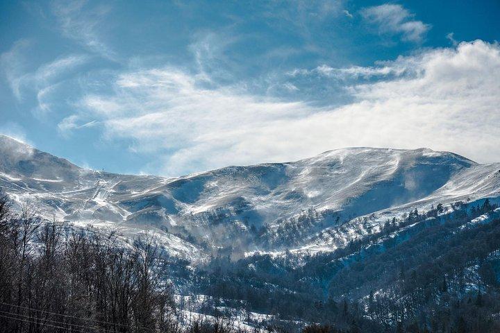 Trasferimento privato Tbilisi - Bakuriani - Borjomi