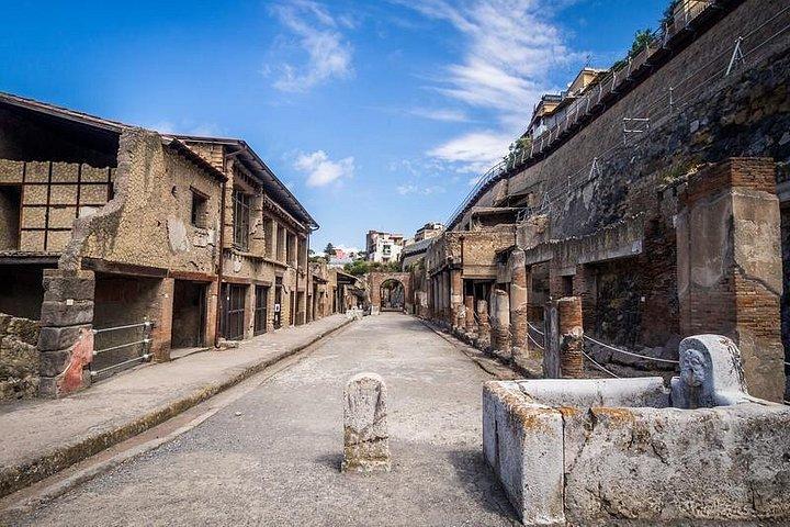 ナポリからソレントへの民間移動、Herculaneum Ruinsのツアー