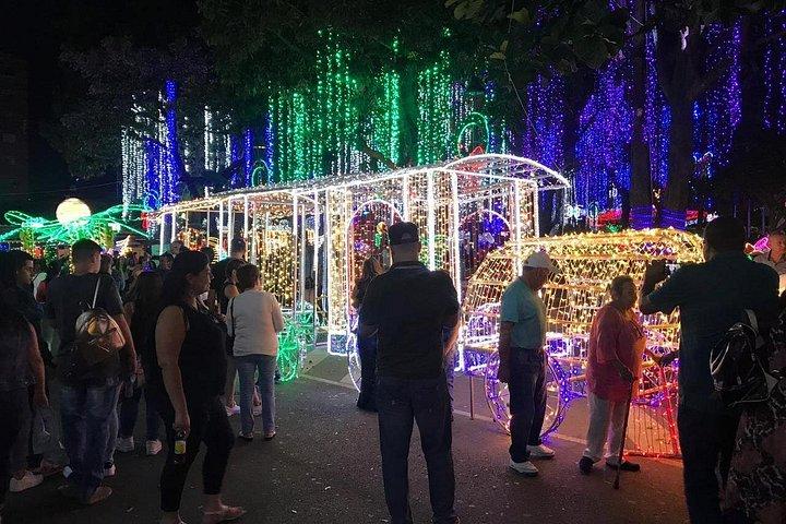 メデジンのプライベートクリスマスイルミネーションツアー（送迎付き）