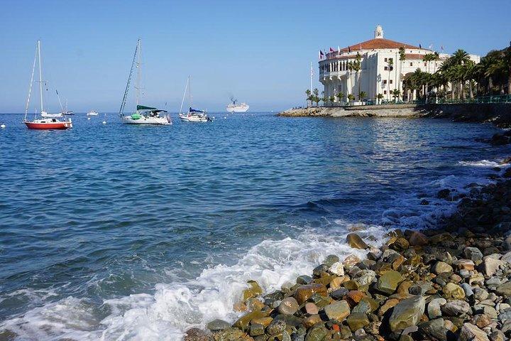 LAから：カタリナ島ジップラインツアーとホテル送迎付き