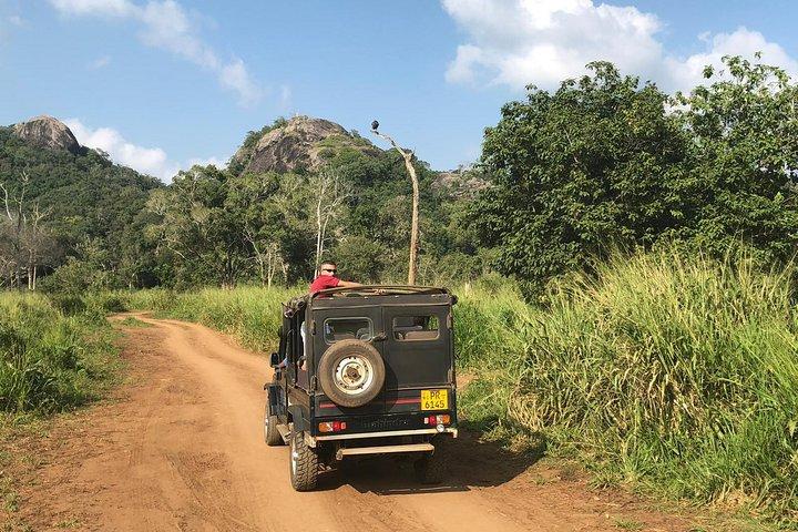 Minneriya luksus jeep safari